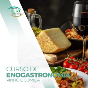 Enogastronomia - Vinho e Comida